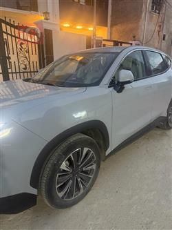 جيتور داشينج